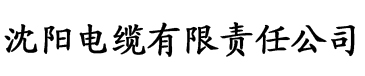 草莓视频se电缆厂logo